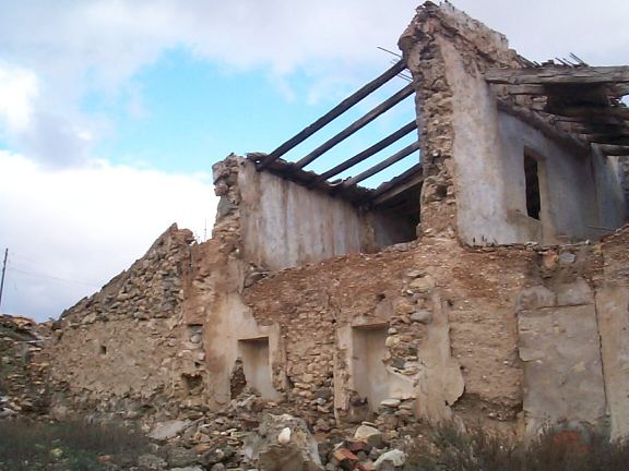 hoyal.jpg (46865 bytes)
